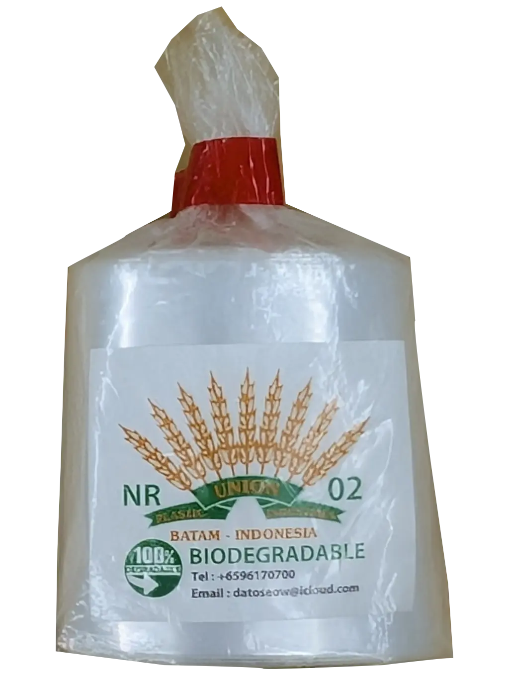 Biodegradable plastic packaging