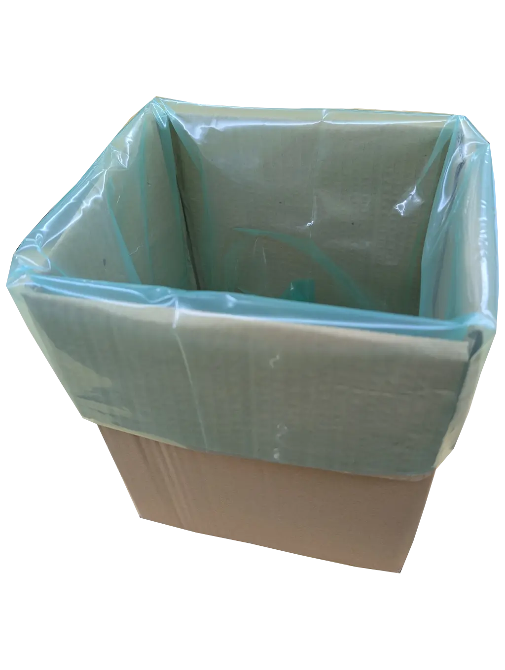 Cardboard box lined with green plastic bag