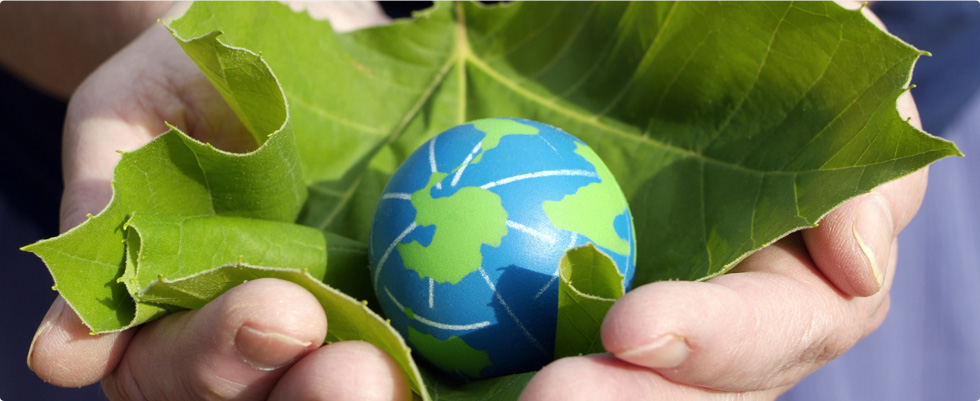 Hands holding a green leaf with a small globe symbolizing environmental sustainability